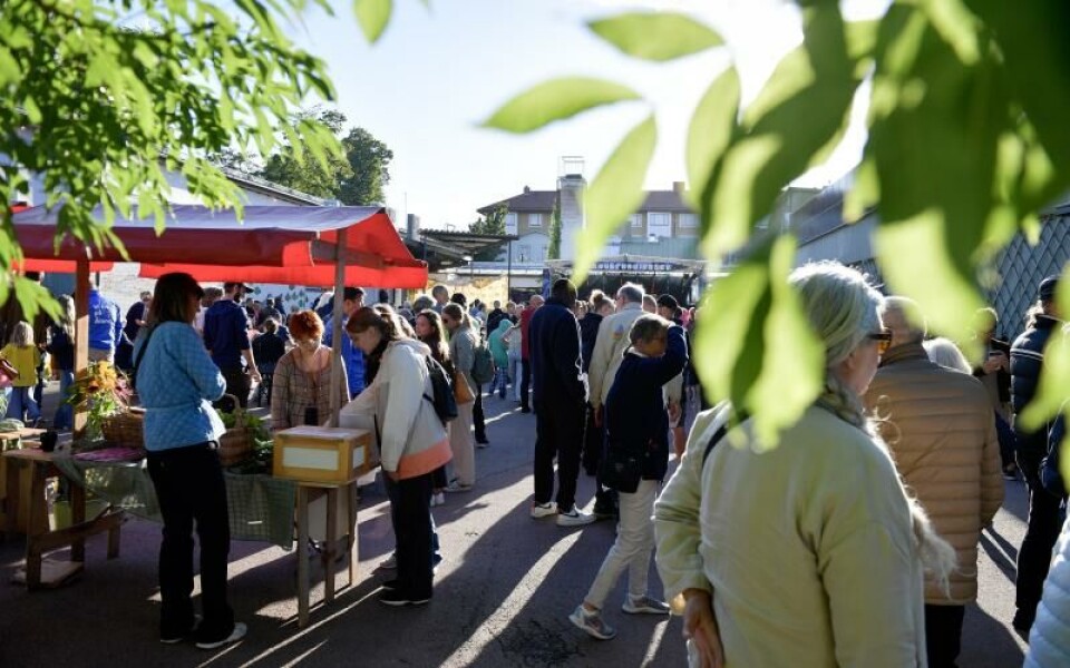 Foto: Hülya Tokur-Ehres