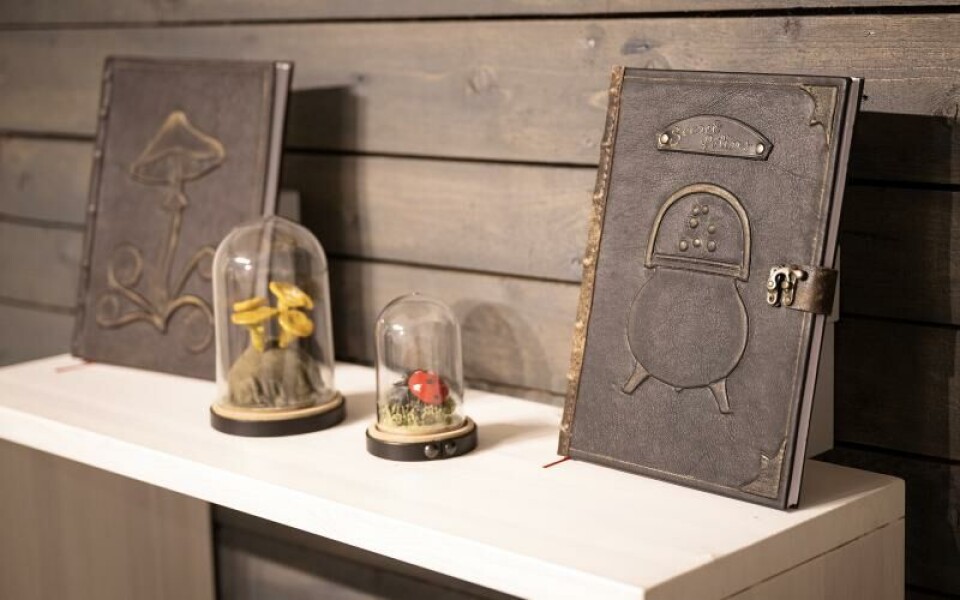 Utställning, Galleriet, Vi hade i alla fall kul med lädret, Saija SaarelaFoto: DANIEL ERIKSSON