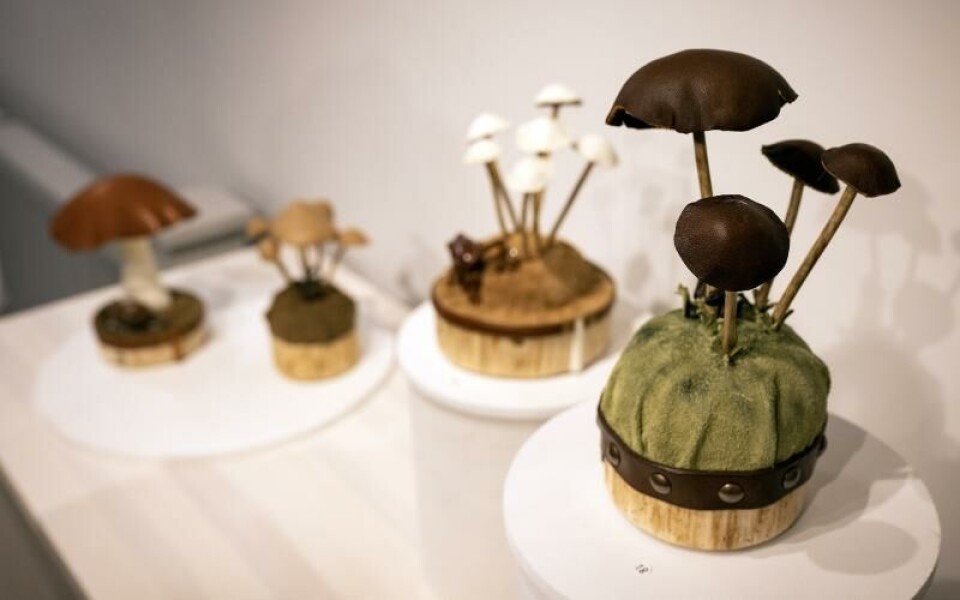 Utställning, Galleriet, Vi hade i alla fall kul med lädret, Saija SaarelaFoto: DANIEL ERIKSSON