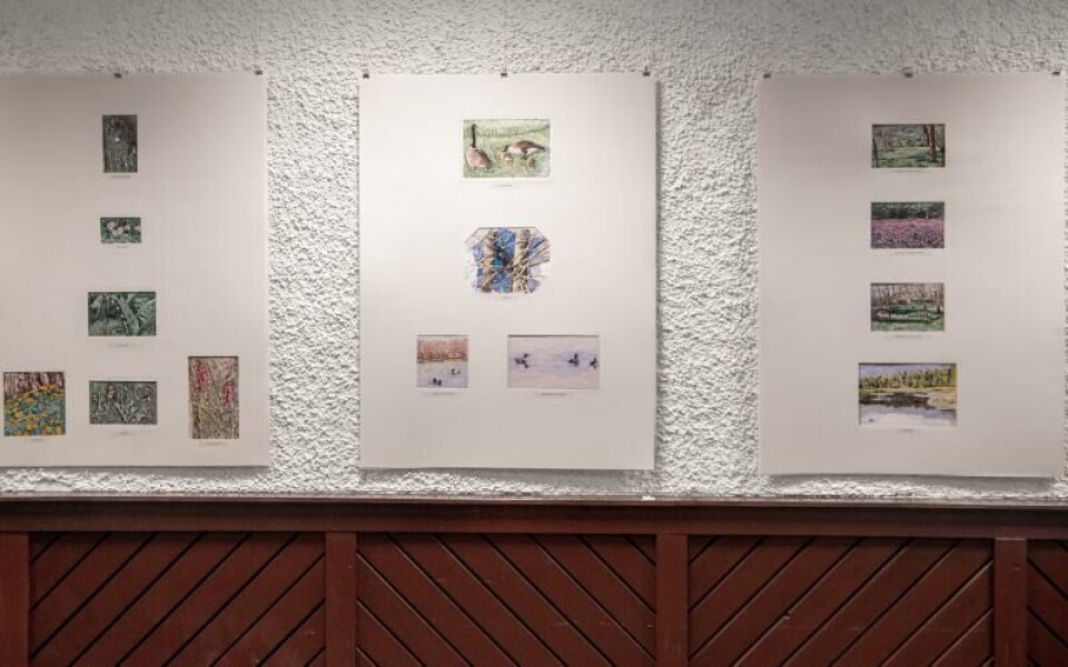 Foto: Amir Karbalaei