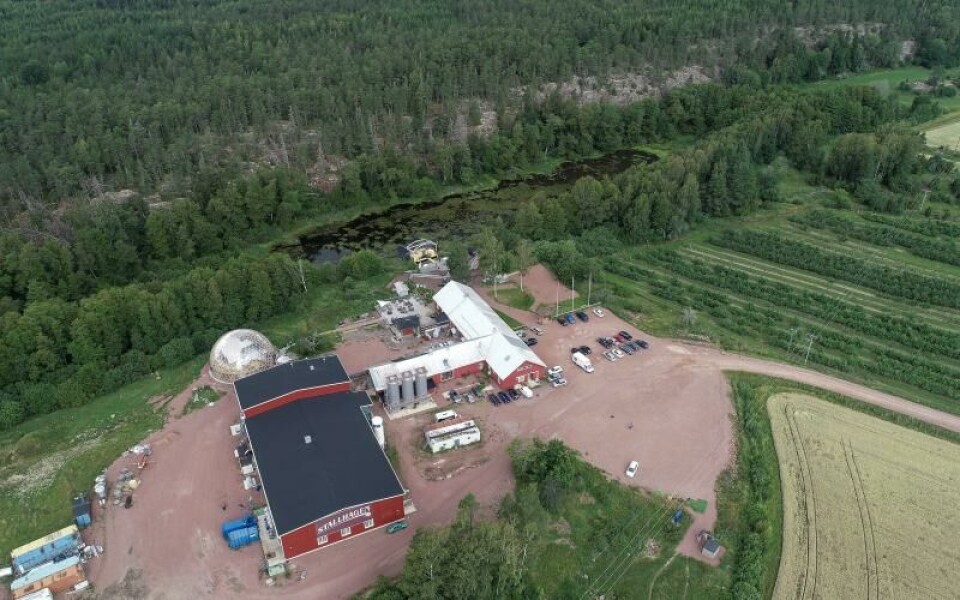 Foto: Hülya Tokur-Ehres