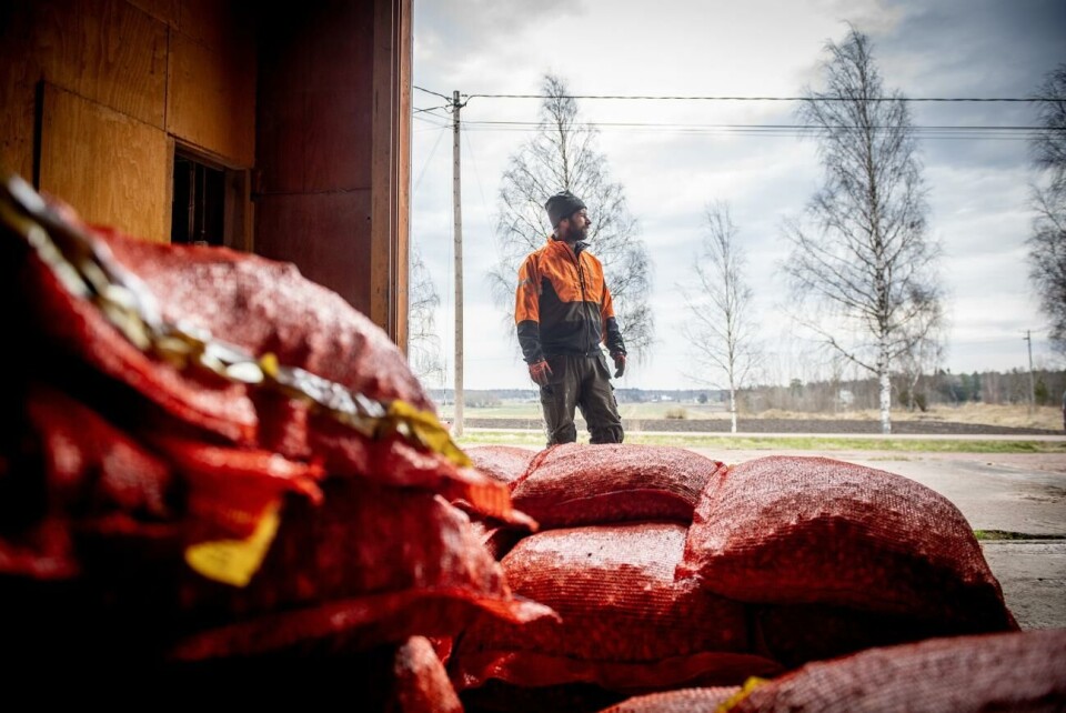 Hos Michael Mattsson i Vestansunda, Jomala ligger stora mängder säckar med lök i väntan på utsättning. Han räknar med bråda dagar i maj, då även spannmål och potatis ska i jorden. Hos Michael Mattsson i Vestansunda, Jomala ligger stora mängder säckar med lök i väntan på utsättning. Han räknar med bråda dagar i maj, då även spannmål och potatis ska i jorden.