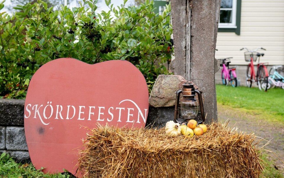 Lägre omsättning på årets skördefest 15.900 unika besökare noterades bland skördefestens deltagare.