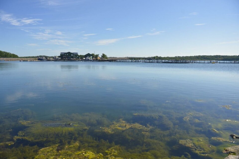 LR bannade kommunen – nu vill Brändö ha rättelse