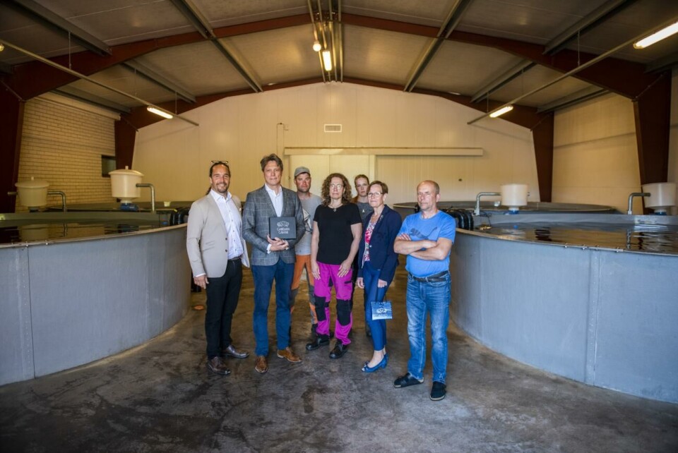 Fredrik Karlström, Niclas Karlsson, Johan Lindfors, Anna-Maria Tamminen, Linda Sundström, Carin Holmqvist och Kaj Ådjers.