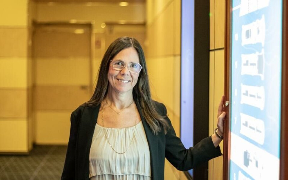 Foto: HULYA TOKUR EHRES