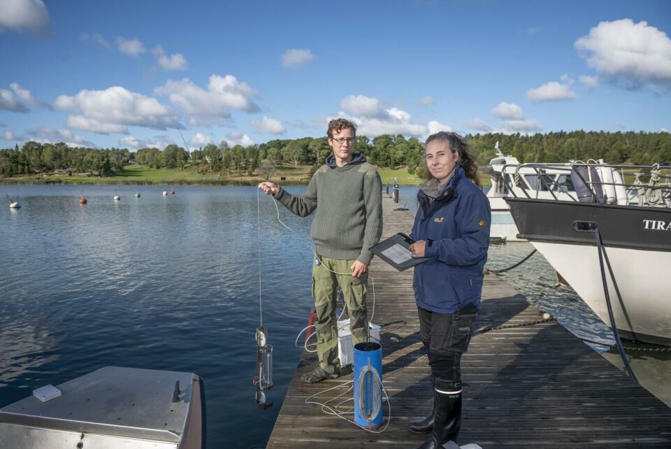 Patrik Ståhl och Sofia Pettersen. Patrik Ståhl, Sofia Petterssen, Slottsundet vattetnprover kartering, vattenkvalitet, Kastelholms gästhamn