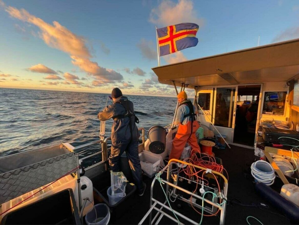 Fältstudierna vid områdena för de planerade vindkraftsparkerna har gett upptäckter.