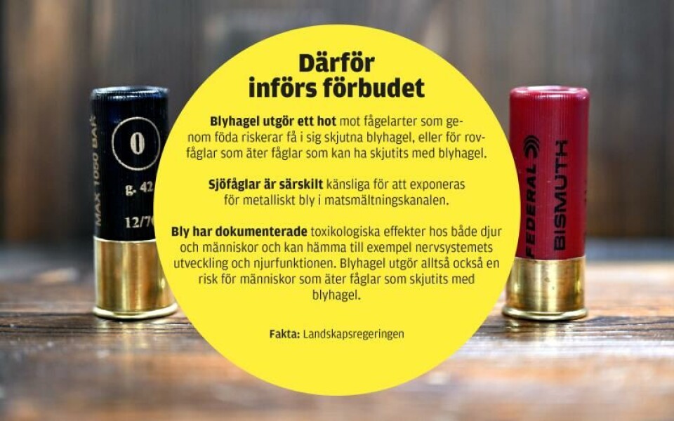 Foto: Robert Jansson