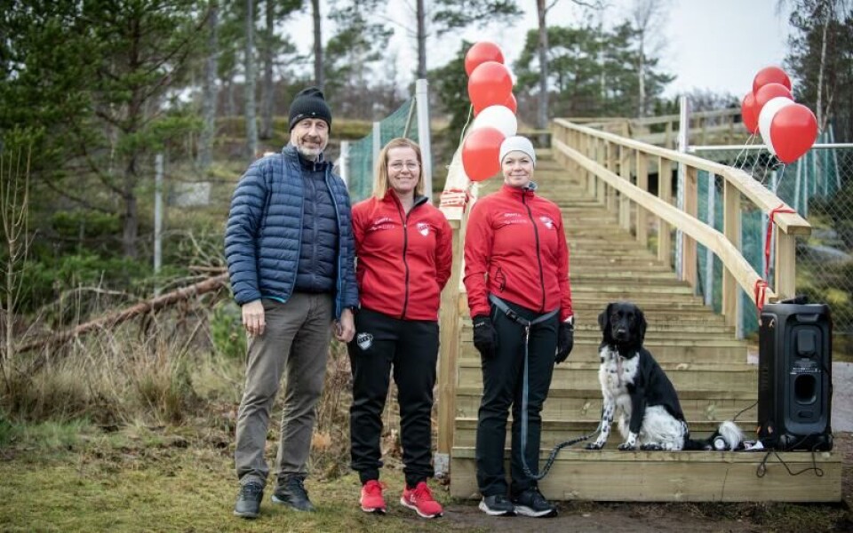 Foto: Hülya Tokur-Ehres