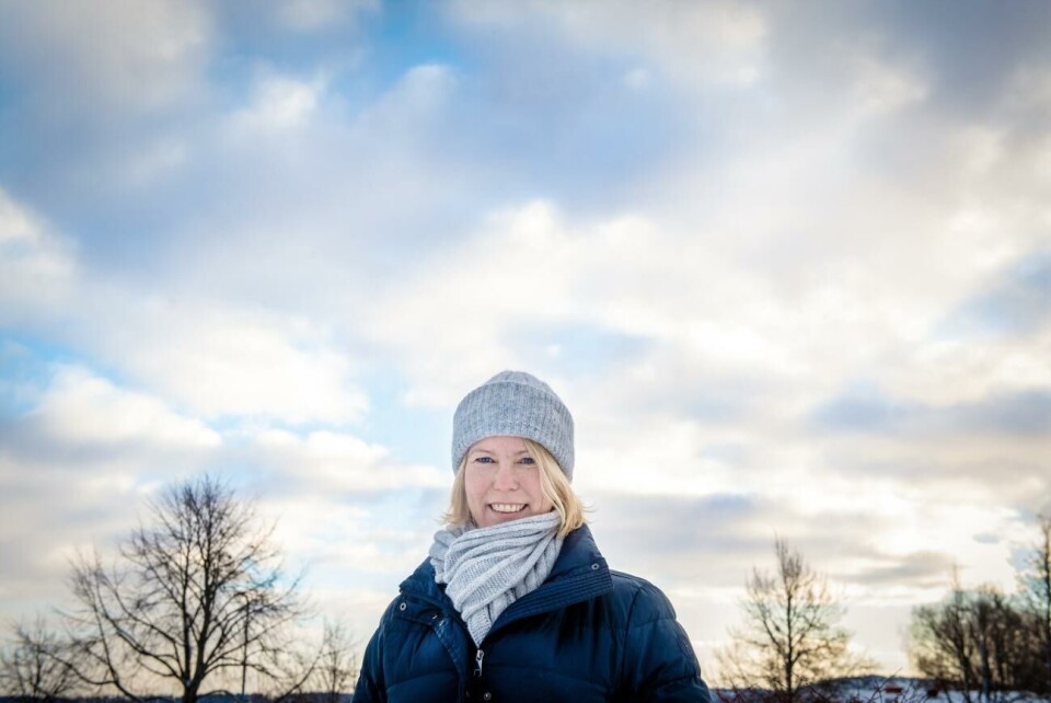 Pettböle Vind vill bygga batterilager i Finström Cecilia Jansson.
