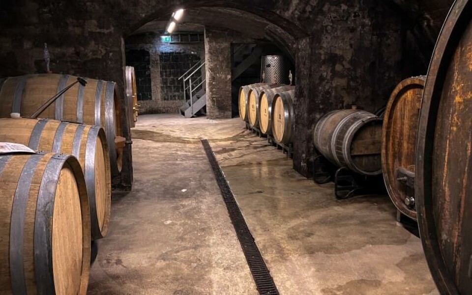 Georg Breuer fokuserar främst på riseling men även en del pinot gris, pinot blanc och pinot noir.Foto: