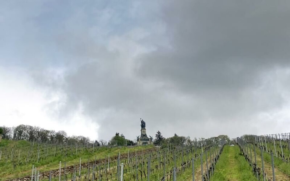 Statyn Niederwalddenkmal avbildar Germania och ska föreställa Tysklands stolthet och förening. Den uppfördes 1877–1883.Foto: