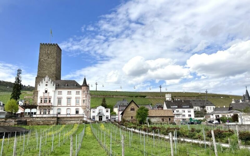 Vingårdarna sträcker sig ända ner till den berömda turistgatan Drosselgasse. På bilden ser vi Weingut Carl Ljungs vineri och bakom den skymtas linbanan som tar turister upp och ner från utsiktsplatserna.Foto: