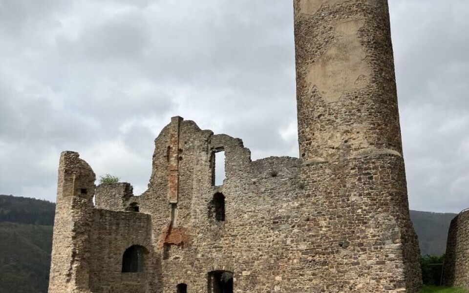 En promenad västerut genom vingårdarna tar oss till slottsruinen Ehrensfels. Slottet skadades kraftigt under 30-åriga kriget och blev till slut totalförstört år 1689 av franska trupper. Druvan Ehrensfelser har fått sitt namn härifrån.Foto: