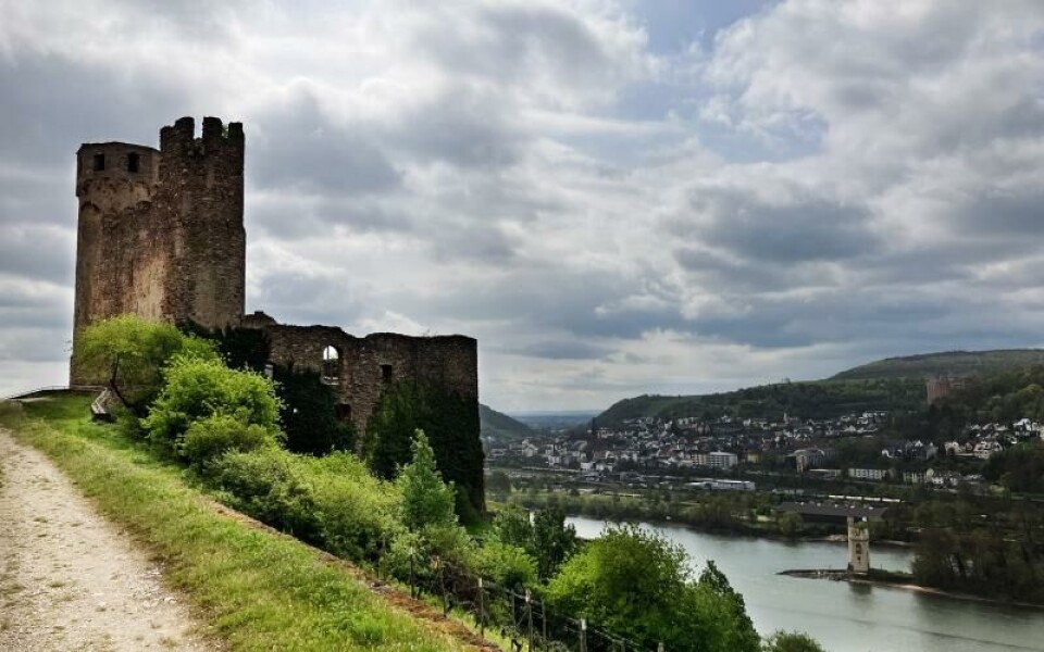 I förgrunden syns slottsruinen Ehrensfels. På andra sidan Rhenfloden ligger distriktet Rheinhessen.Foto: