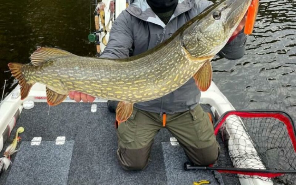 Johannes Nordenholm med den mäktiga gäddhonan på 9,5 kilo som han tog med sitt egentillverkade drag.Foto: