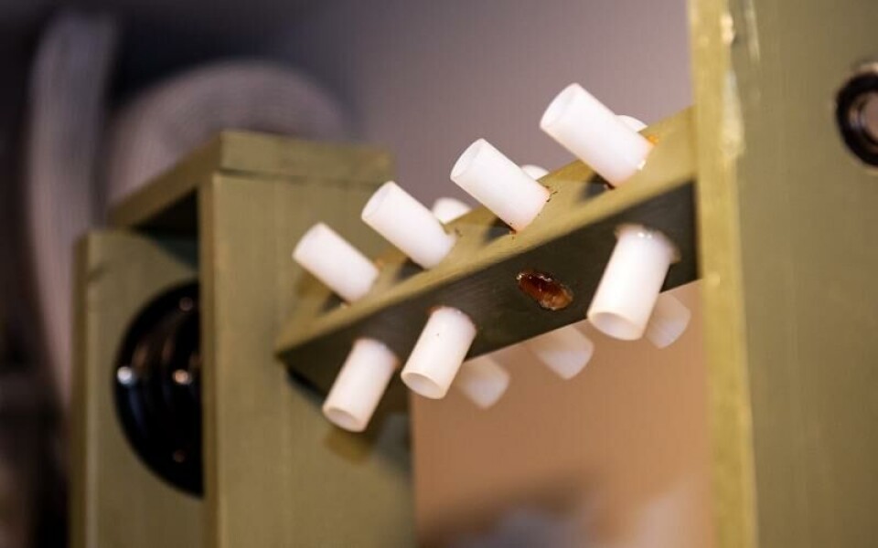 För att det skyddande epoxyt ska ge bra effekt har Johannes byggt ihop en maskin som snurrar runt dragen medan de torkar.Foto: