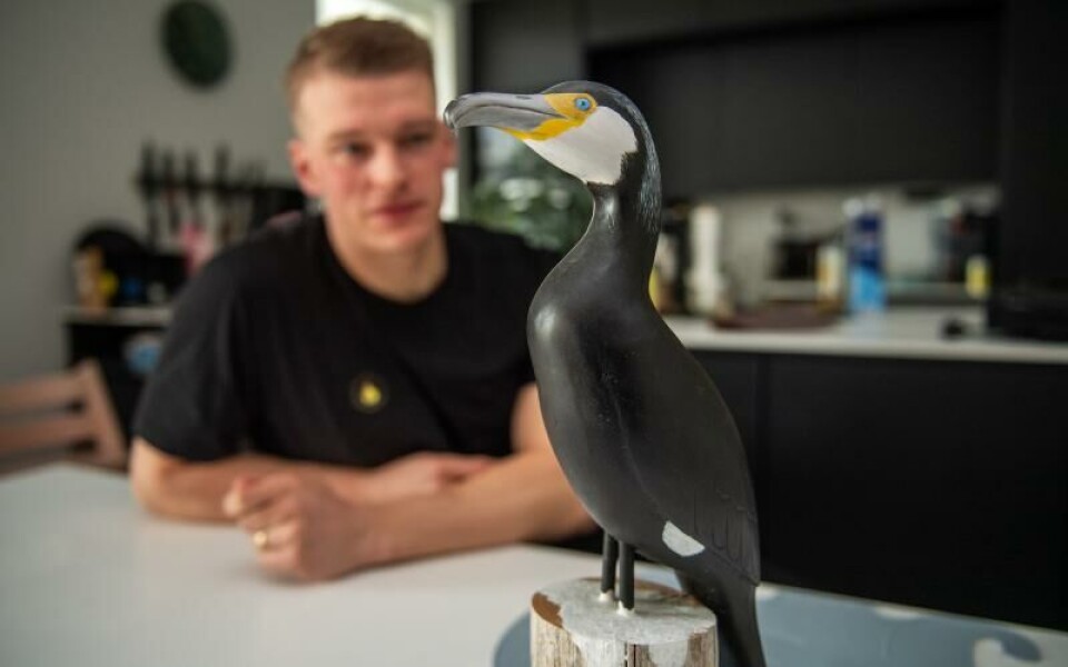 Den fågel som Johannes farmor täljt fram samt målat. Sedan farfars död för ett par månader sedan har Johannes och hans farmor kommit allt närmare varandra och hon har, bland annat, skickat länkar till Youtube på andra som bygger sina egna fiskedrag.Foto: