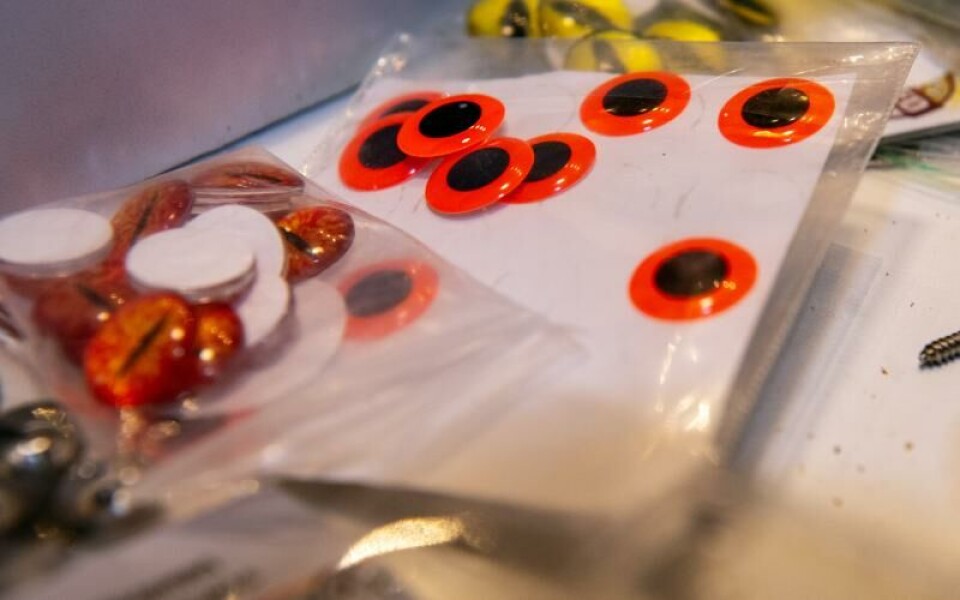 Ögon att sätta på dragen.Foto: