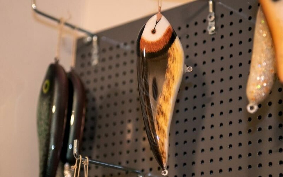 ”Den sucicidala skäggdoppingen” kallas de här draget som inte lär få se många meter vatten i sitt liv. Där är nämligen farmor som har målat den.Foto: