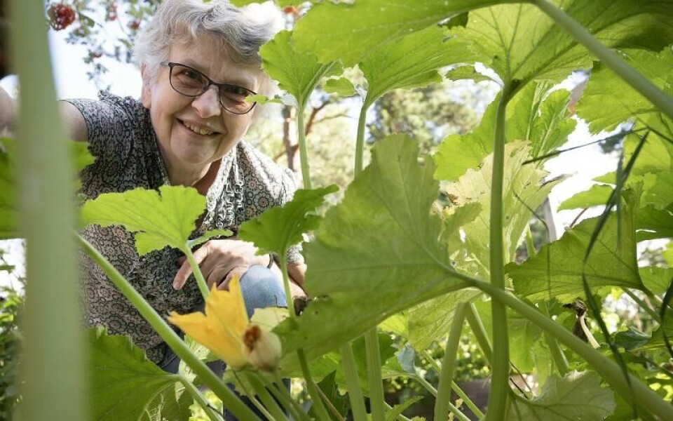 Foto: DANIEL ERIKSSON