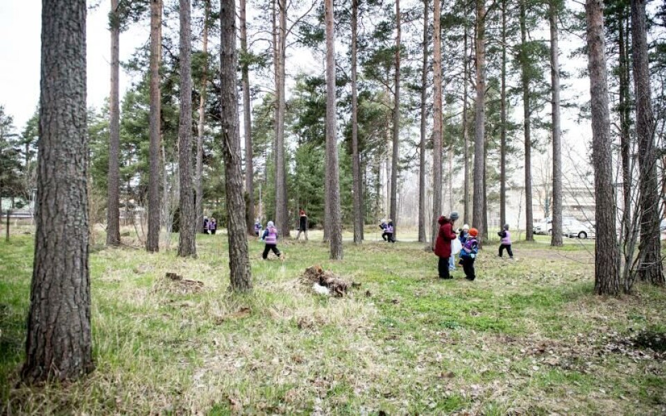 Foto: Hulya Tokur Ehres