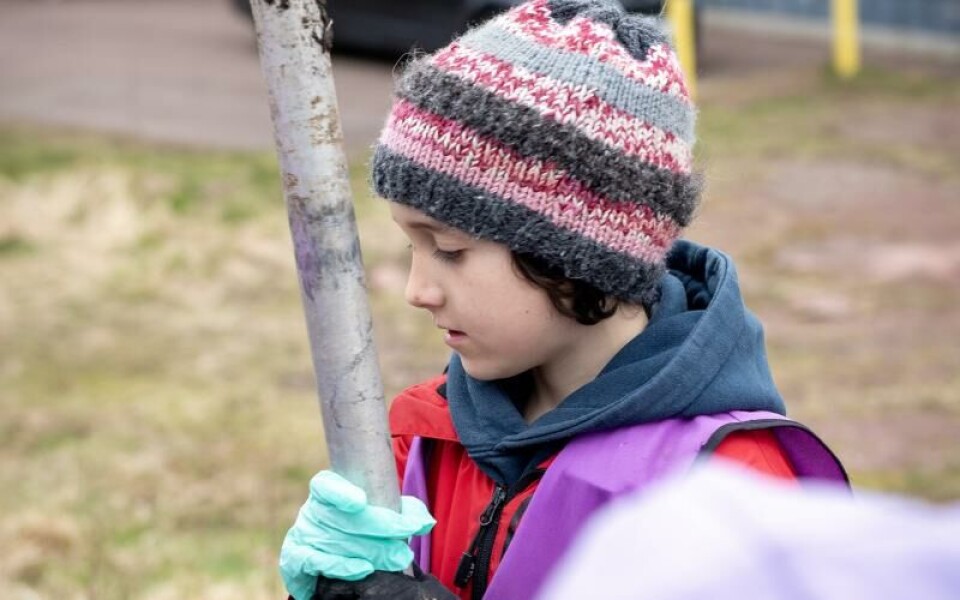 Foto: Hulya Tokur Ehres