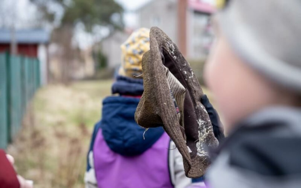 Foto: Hulya Tokur Ehres