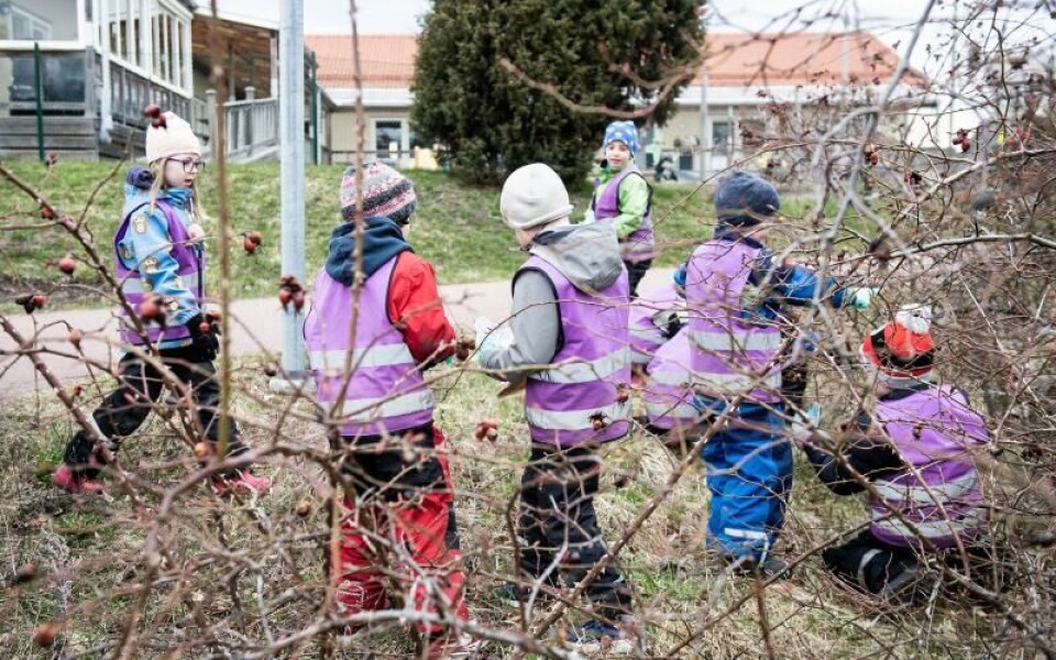 Foto: Hulya Tokur Ehres