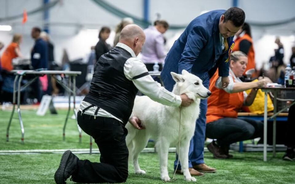 Foto: Hülya Tokur-Ehres