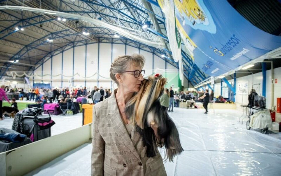 Foto: Hülya Tokur-Ehres