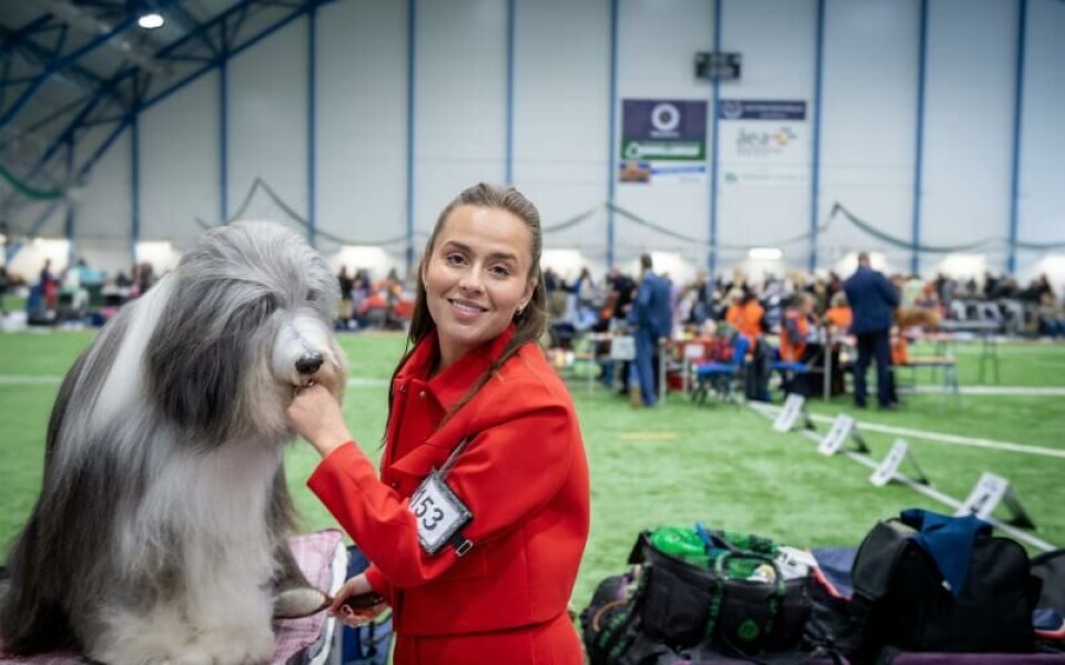 Foto: Hülya Tokur-Ehres