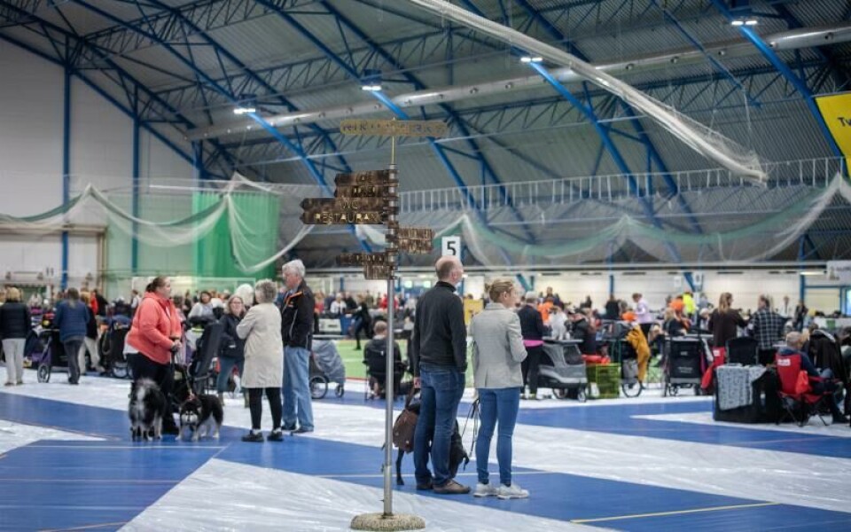 Foto: Hülya Tokur-Ehres