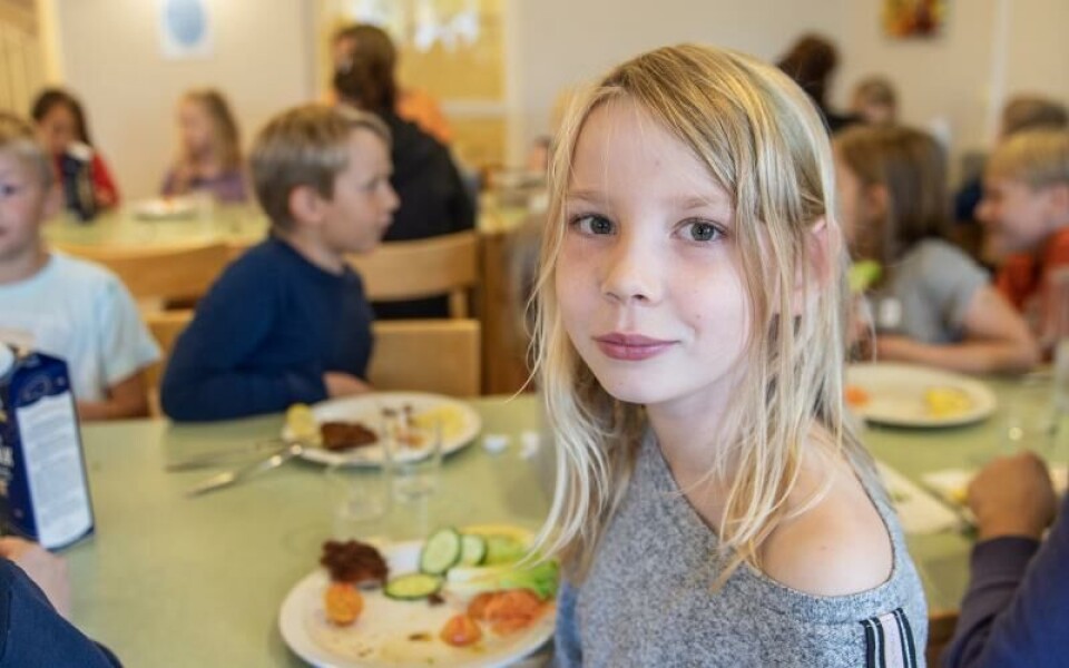 Foto: Hülya Tokur-Ehres