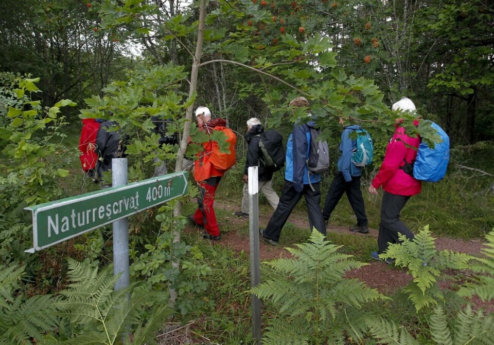 Sommartipset: Vandra i naturen