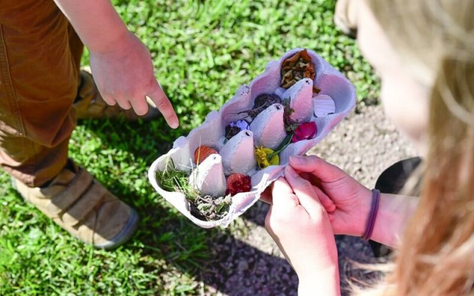 Foto: Robert Jansson