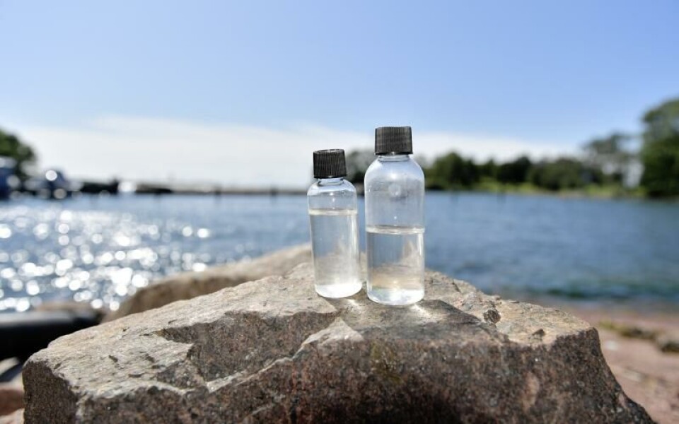 Foto: Hülya Tokur-Ehres