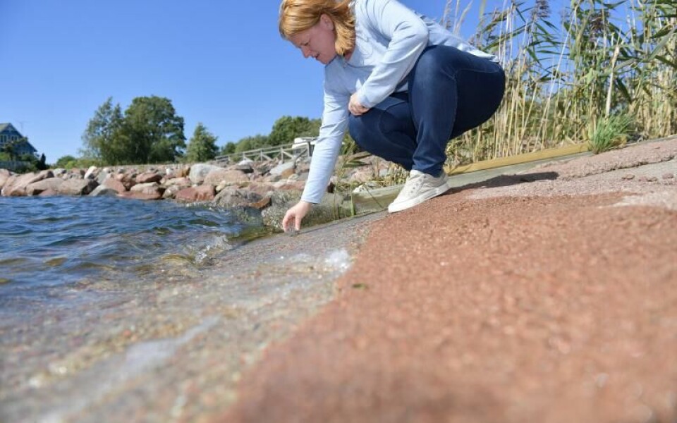 Foto: Hülya Tokur-Ehres
