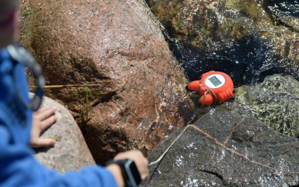 Foto: Hülya Tokur-Ehres