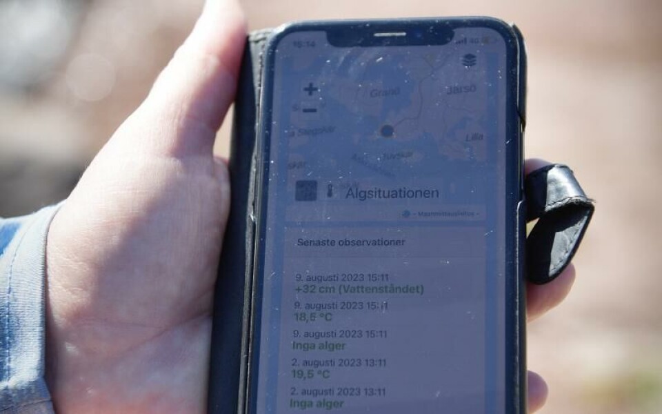 Foto: Hülya Tokur-Ehres