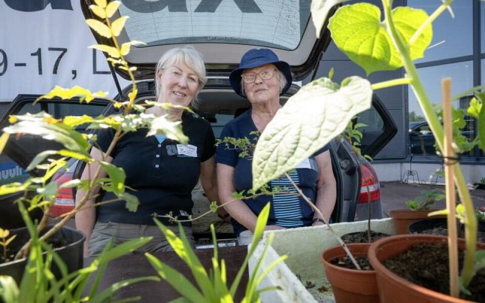 Foto: DANIEL ERIKSSON