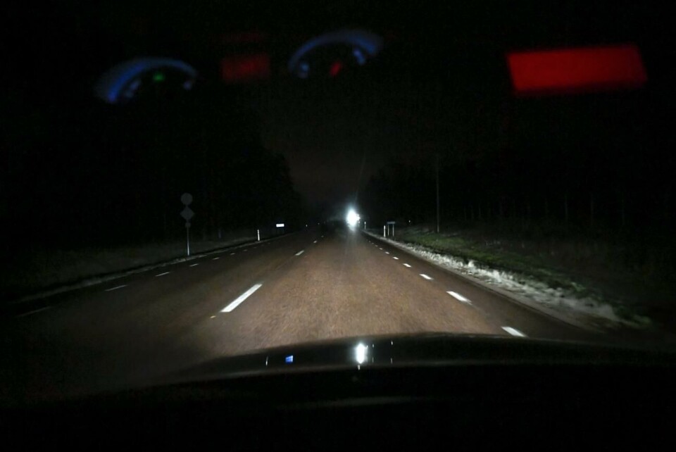 Varg sågs vid Svinryggen i går