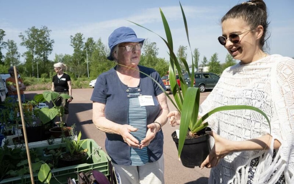 Foto: DANIEL ERIKSSON