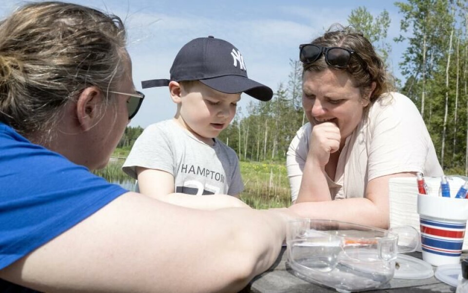 Foto: DANIEL ERIKSSON