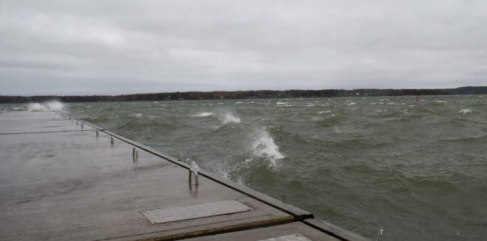 Meteorologiska institutet varnar för storm natten till söndag.