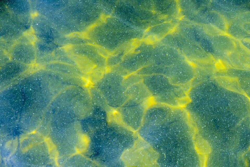 Övergödningen av havet är ett otäckt växande problem. Åland behöver en ny vattenlag och stöd för en mer cirkulärt inriktad fiskodlingsnäring.Foto: Hülya Tokur-Ehres Övergödningen av havet är ett otäckt växande problem. Åland behöver en ny vattenlag och stöd för en mer cirkulärt inriktad fiskodlingsnäring.