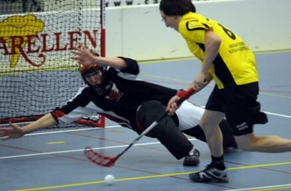 Adam storspel bäddade för Våsc-avancemang