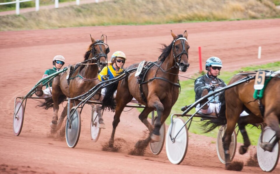 Arctic Don segrare på Solvalla
