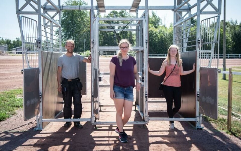 Hstsport, infr NM fr islandshstar, Jens Andersn, Therese Ling, Elin AndersnFoto: Daniel Eriksson